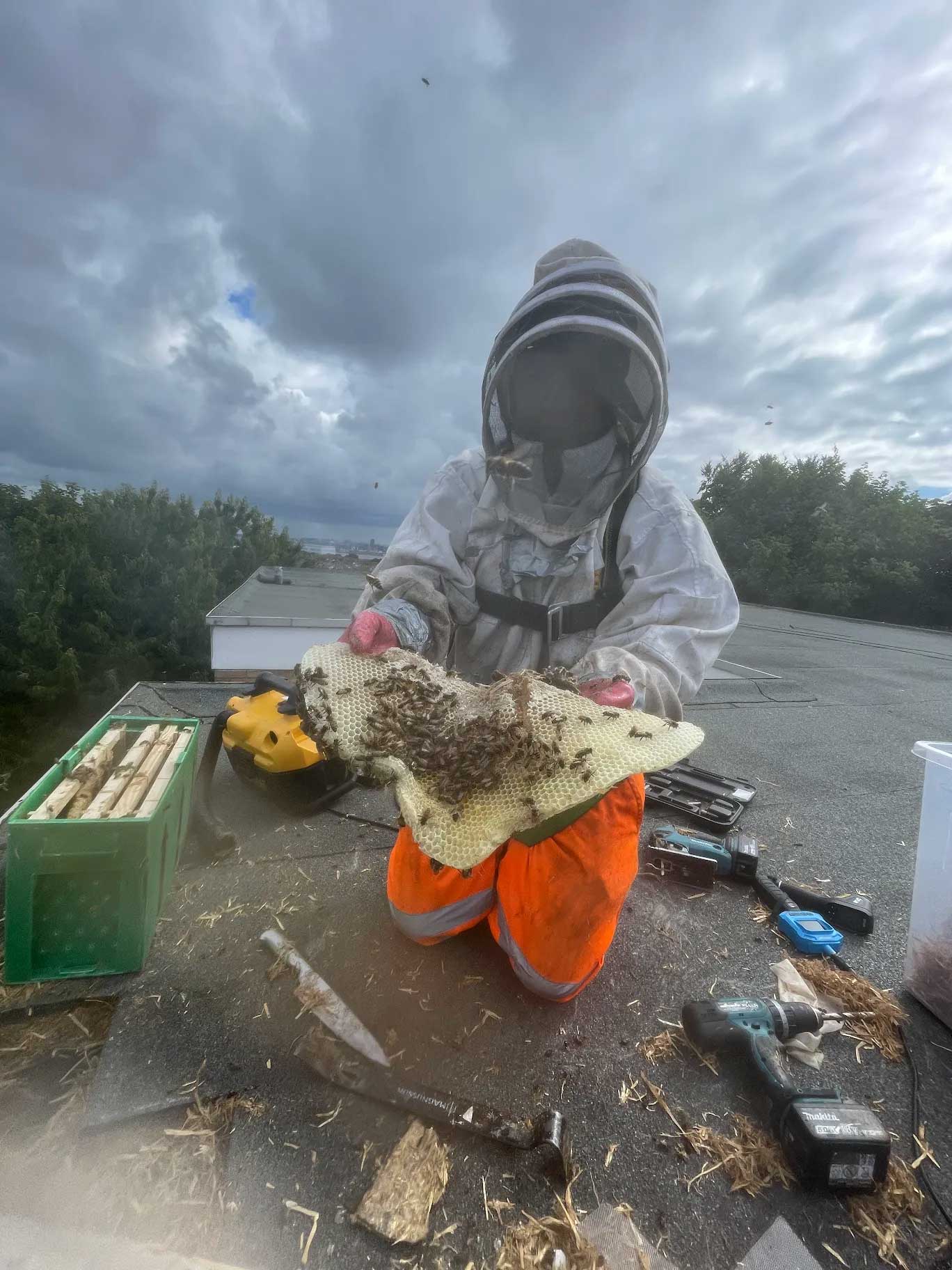 Bee Keeper Wirral - Heswall