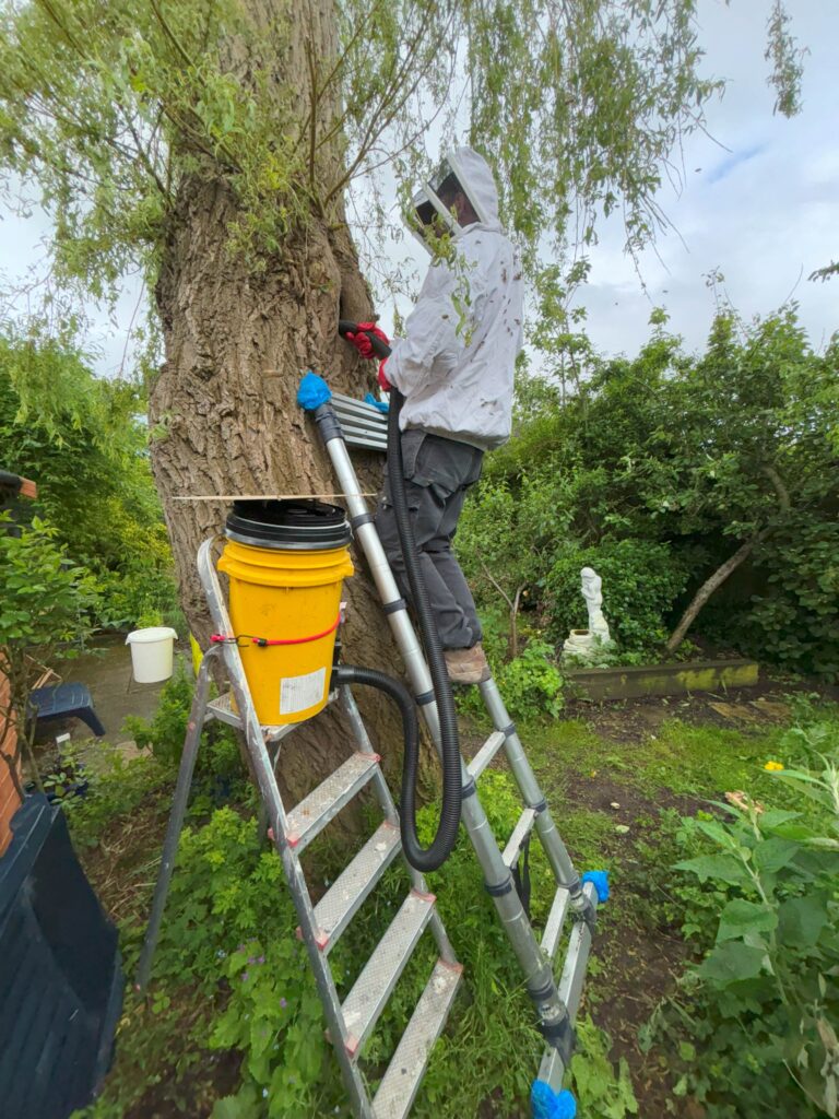 Ellesmere Port Pest Control