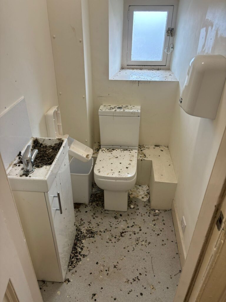 Messy toilet wirral - Bird droppings - pest control