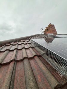 Bird proofing services in Liverpool