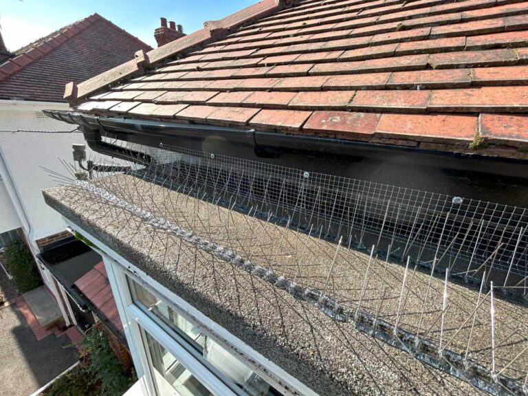 Bird Proofing Wirral