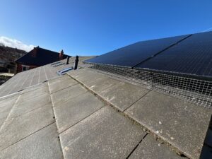 Bird Proofing Chester